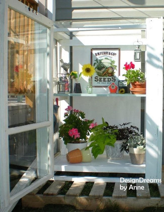 Sunlit Potted Garden Corner