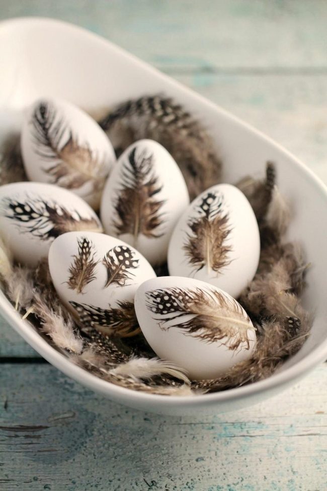 Feathered Eggs On Weathered Blue