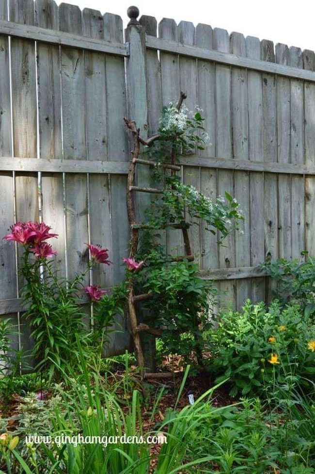 Wooden Ladder Garden Trellis