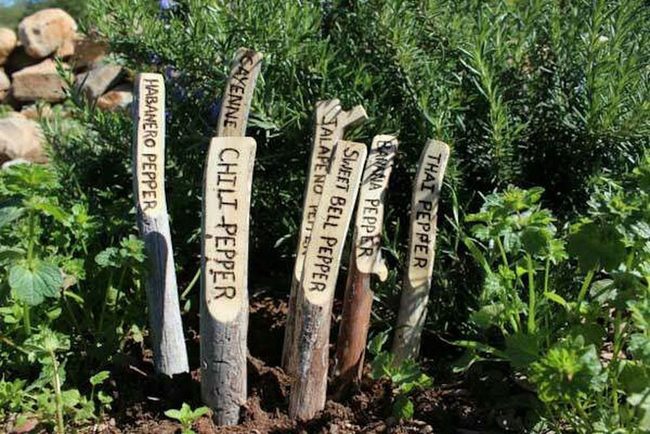 Wooden Branch Garden Labels