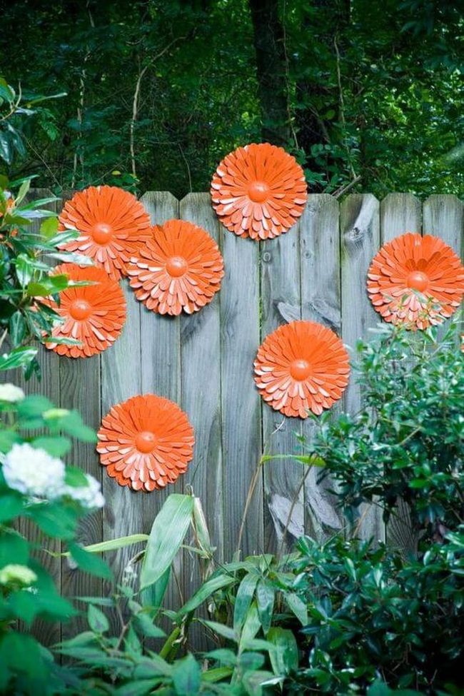 Orange Blooms Against Wood