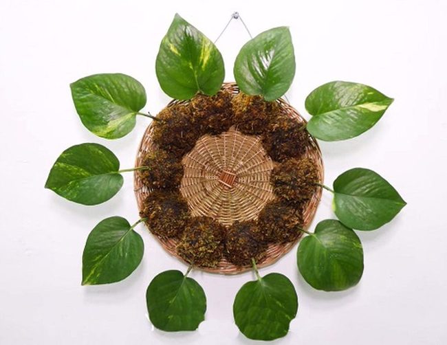Cascading Green Moss Ball Wreath