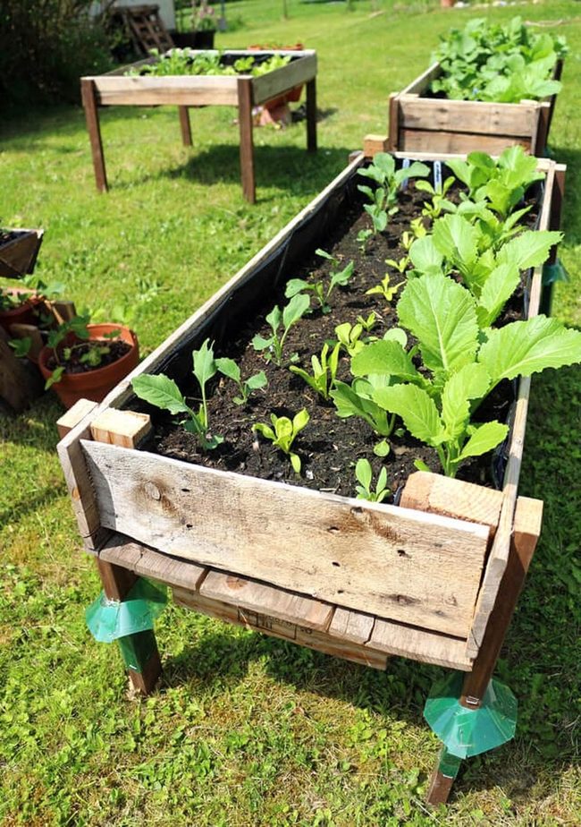 Wooden Pallet Garden Bed