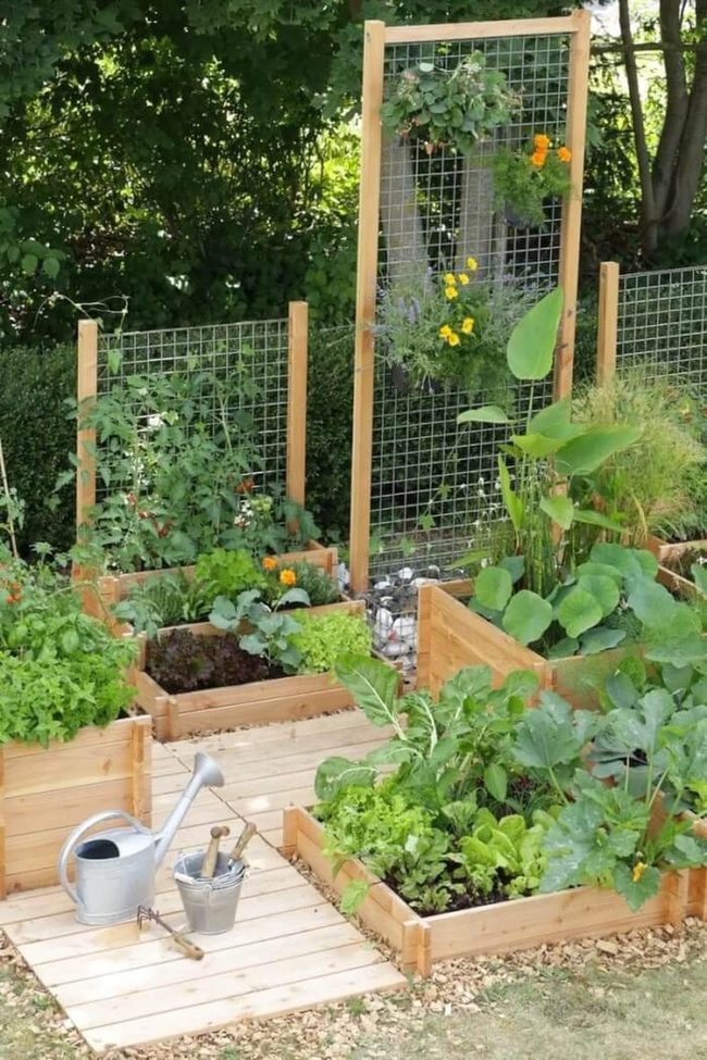 Wooden Raised Beds Garden