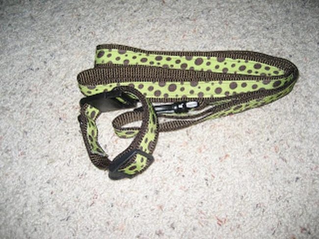 Green Striped Dog Leash