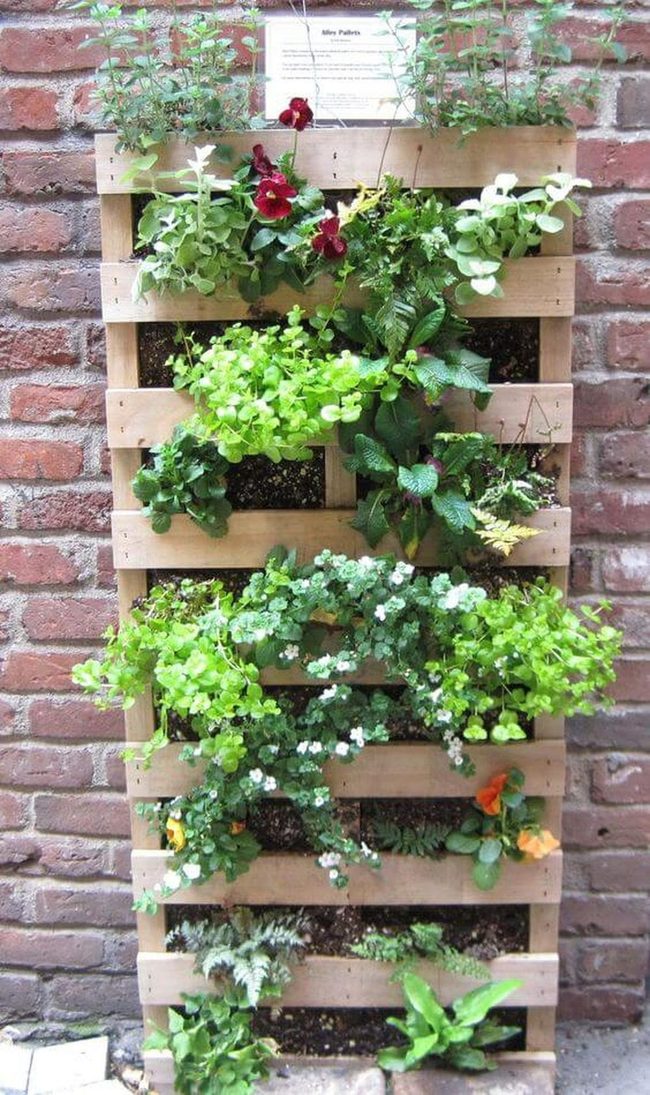 Vertical Pallet Garden Wall