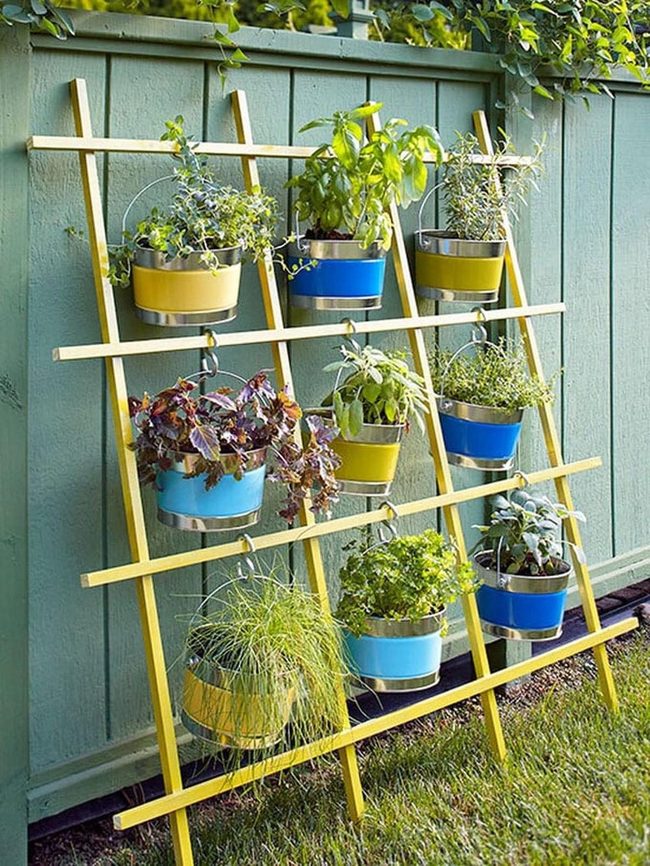 Wooden Trellis Garden Growth