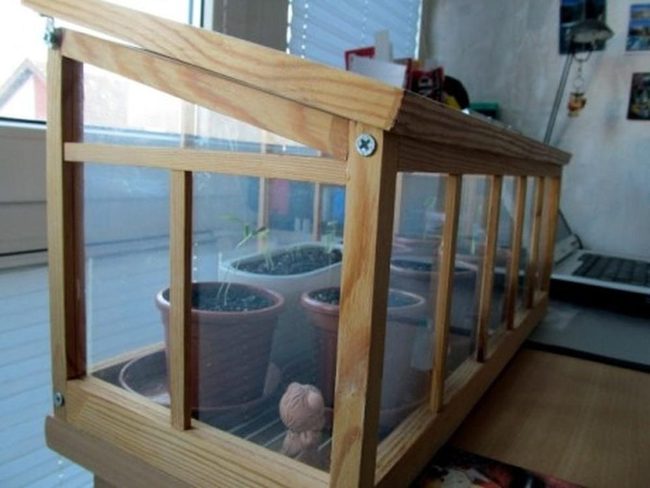 Wooden Greenhouse By Window