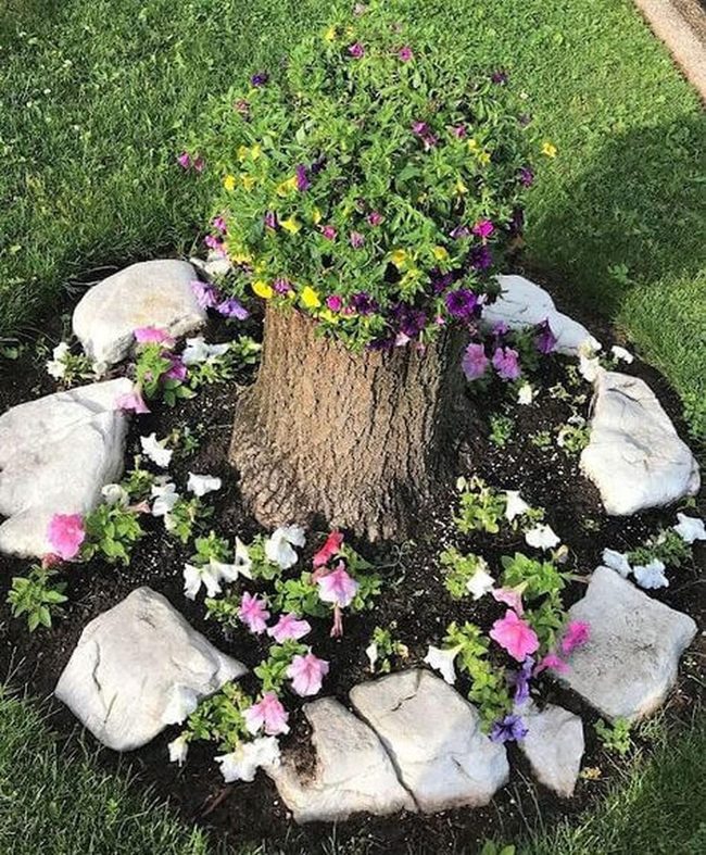 Hollowed Tree Stump Flower Planter