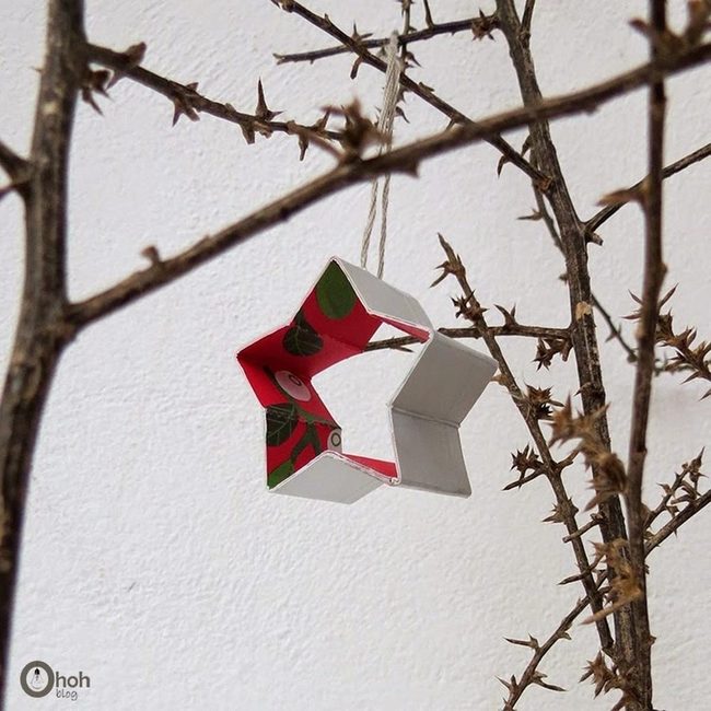 Red Star On Wild Branches