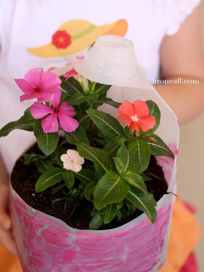 Pink Milk Jug Planter