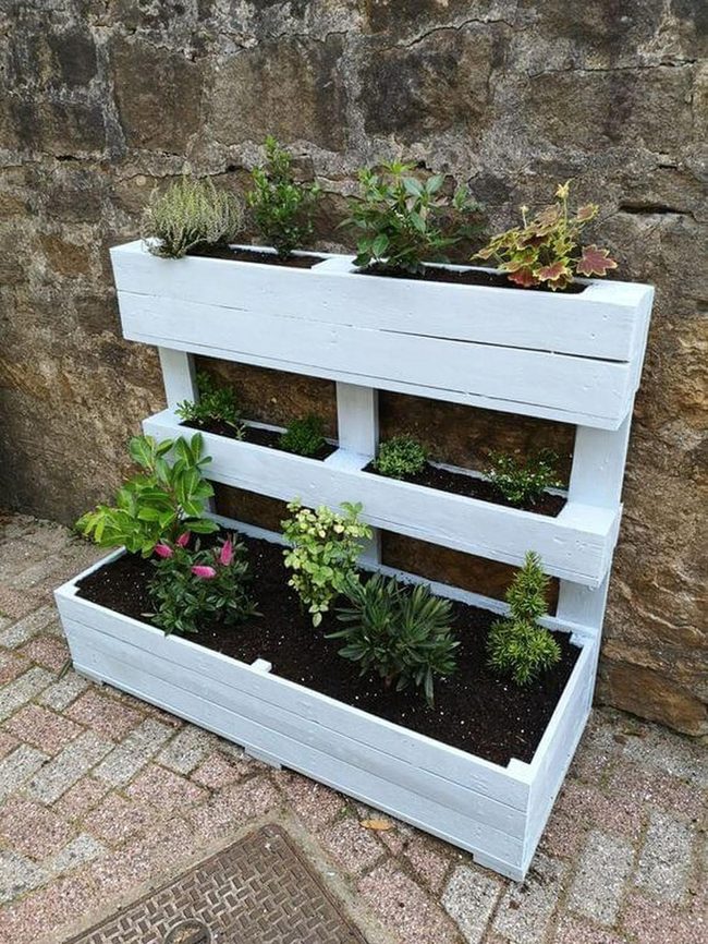 Vertical Green Pallet Garden