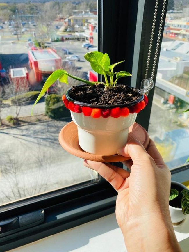 Green Plant Red Pom-Poms