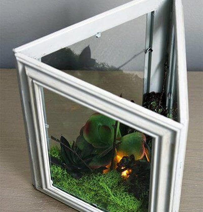 Glowing Glass Moss Garden