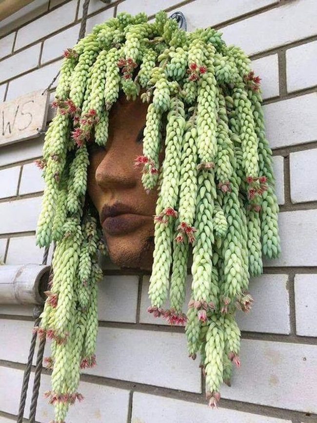 Living Green Ceramic Heads