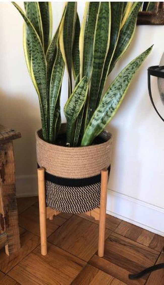 Earthy Bucket Plant Stand