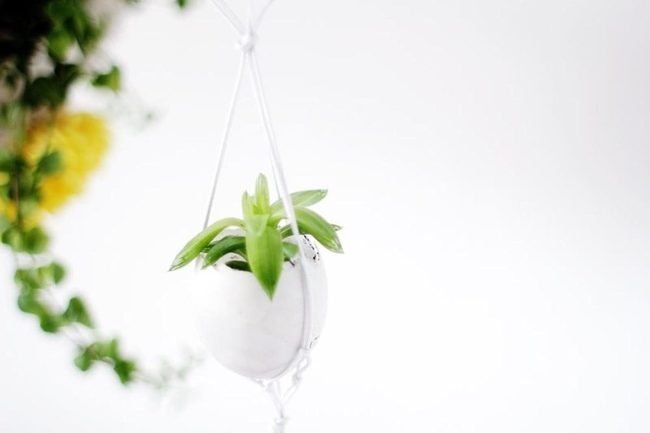 Cascading Green Suspended Serenity