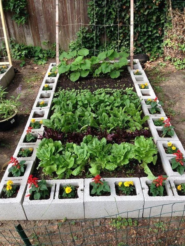 Concrete Block Vegetable Gardens