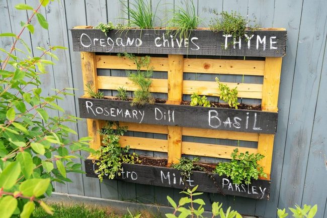 Recycled Wood Pallet Gardens
