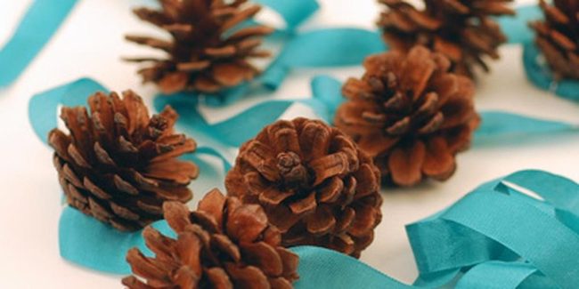 Brown Pinecones With Blue Ribbons