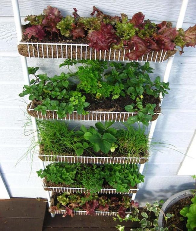 Tiered Metal Vegetable Tower