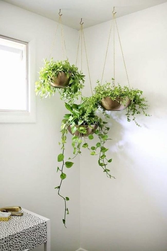 Suspended Metal Greenery Displays
