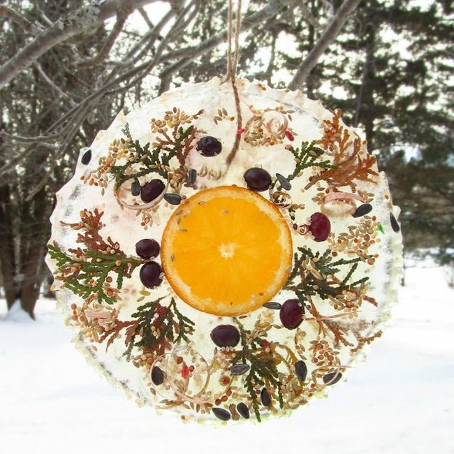 Frozen Orange Citrus Jewels