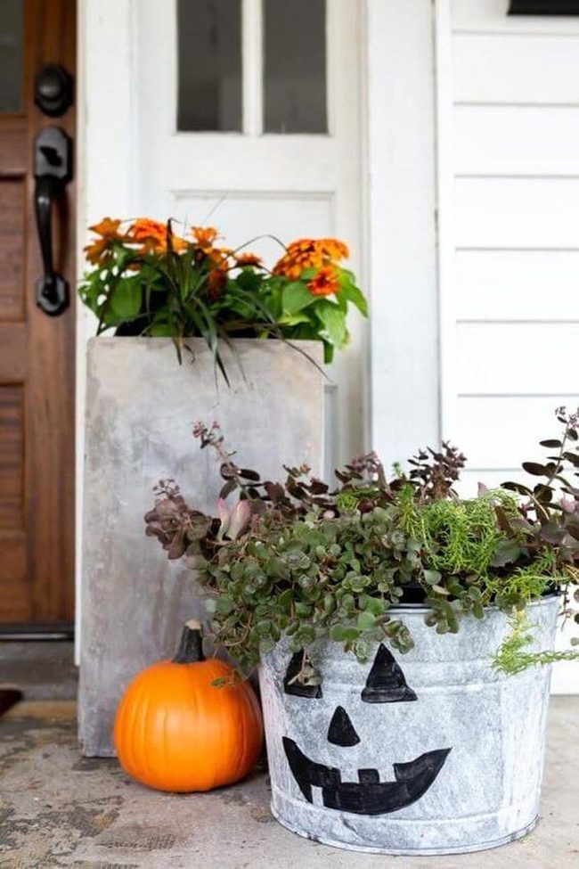 Autumn Pumpkins And Wildflowers