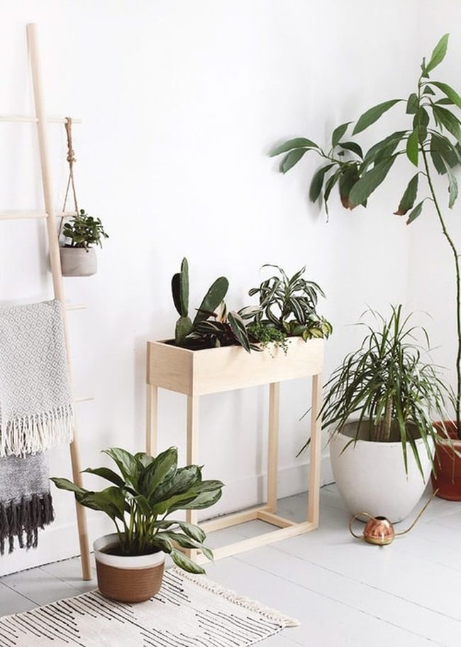 Elevated Green Focal Points