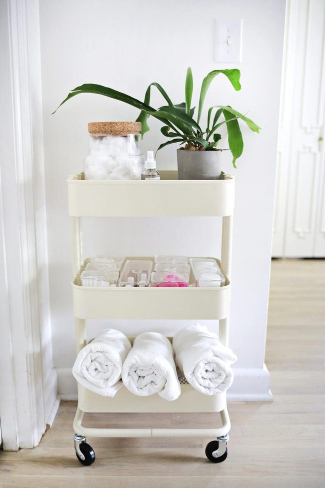 Cream Rolling Storage With Green Plant