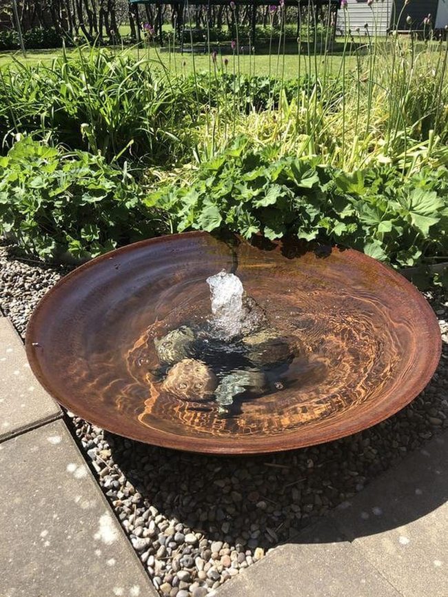 Flowing Water Among Living Greens