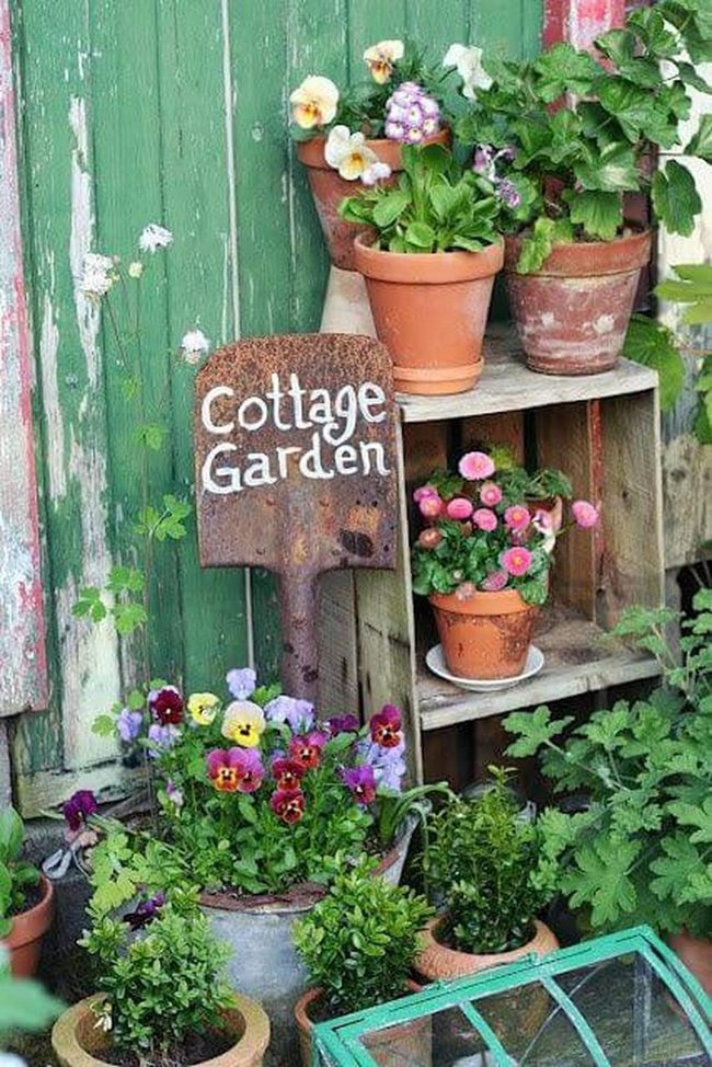 Clay Pots, Cascading Blooms