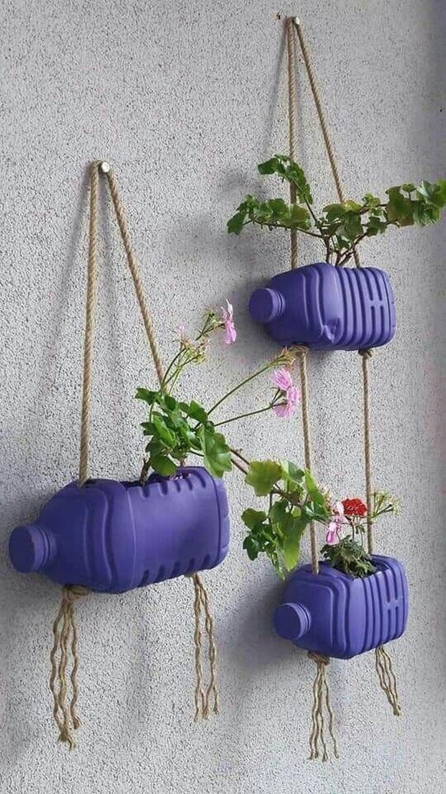 Purple Bottle Planters Suspended
