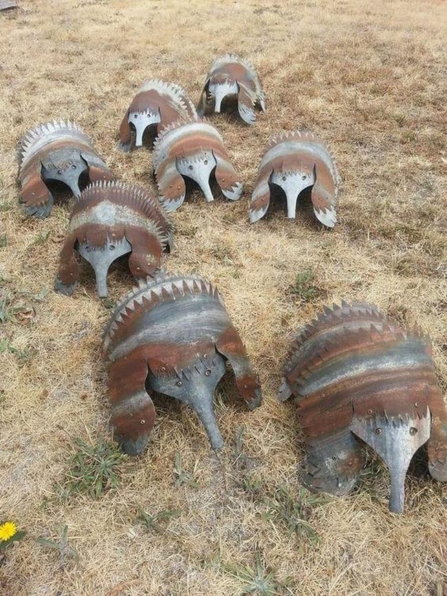 Plasma Cut Metal Armadillos