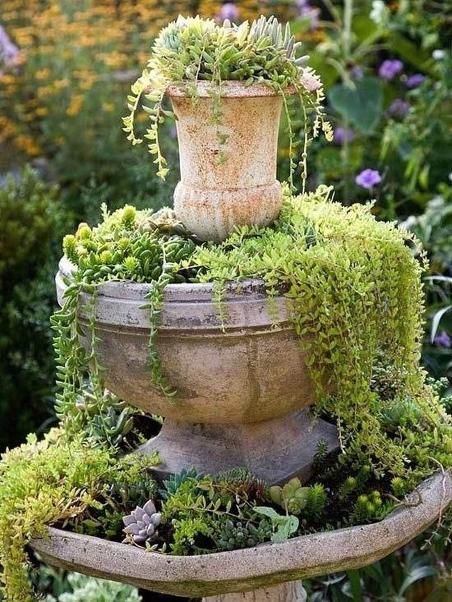 Layered Green Fountain Oasis