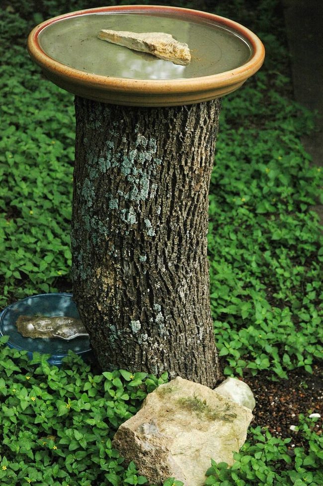 Wooden Stump Bird Bath