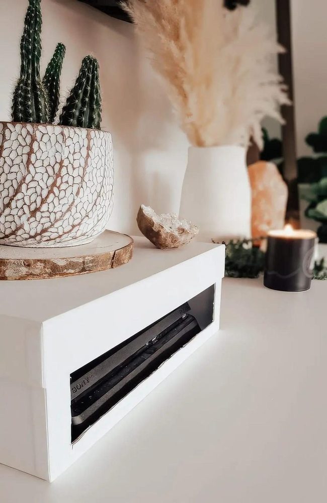 Cactus, Pampas, Candlelight Corner