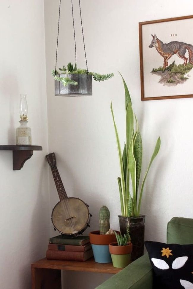 Metal Pipe Plant Hangers