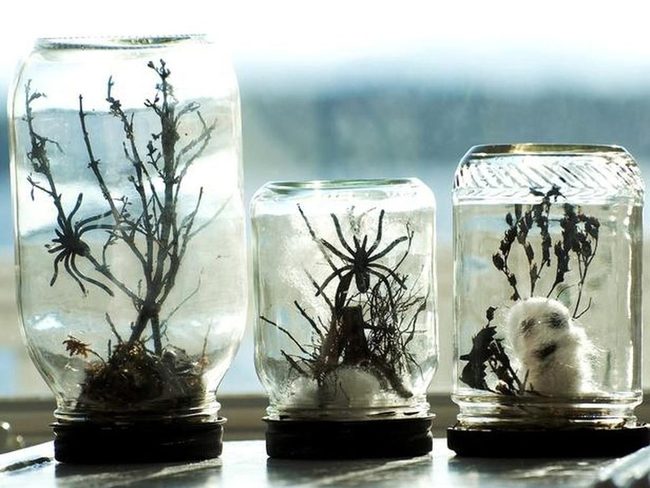 Glass Botanical Miniatures