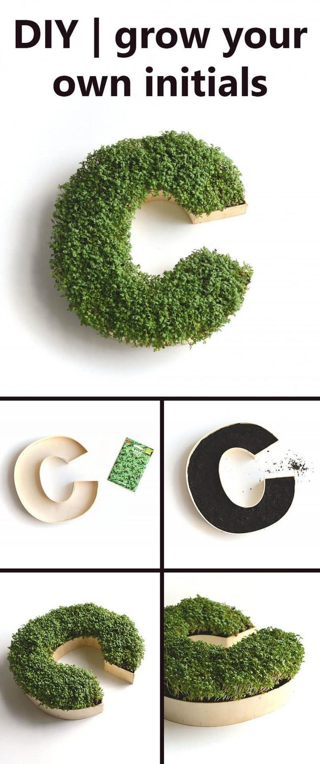 Living Succulent Monogram Letter