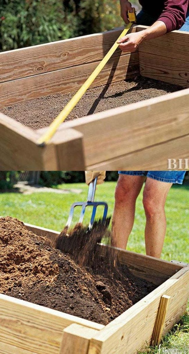 Wooden Garden Bed Grows Vegetables