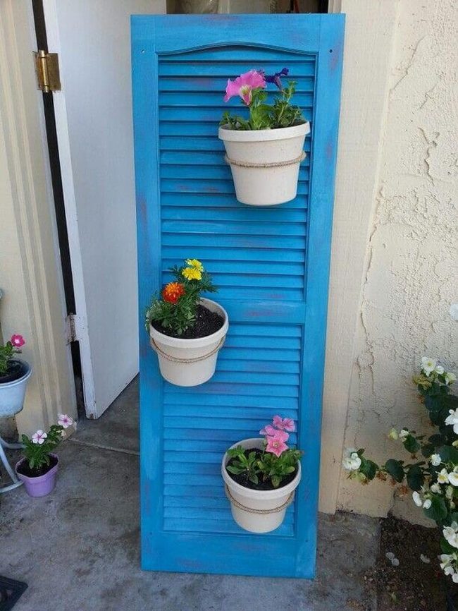 Blue Shutters Meet Garden Blooms