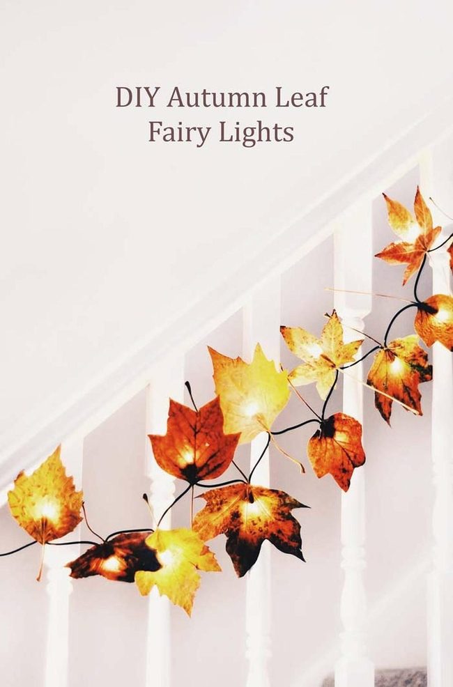 White Lights Through Autumn Leaves