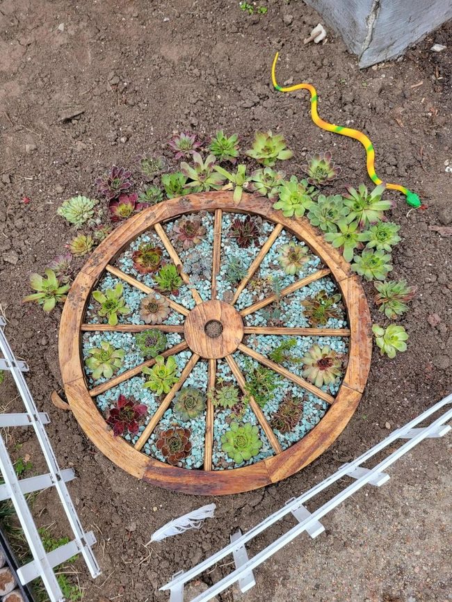 Wagon Wheel Succulent Display