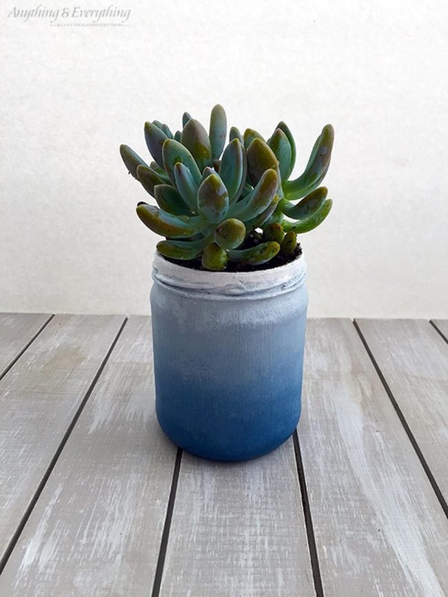 Blue Ombre Succulents On Wood