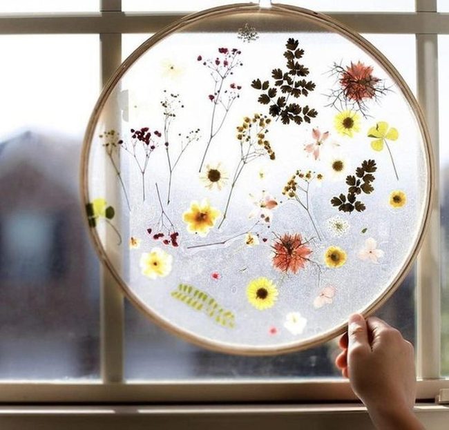 Sunlit Pressed Flower Circles