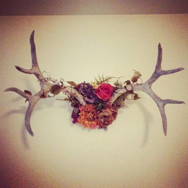 Antlers And Crimson Blooms