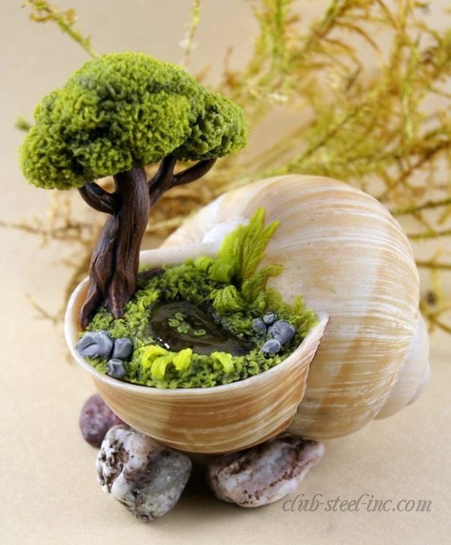 Shell-Nested Bonsai Garden