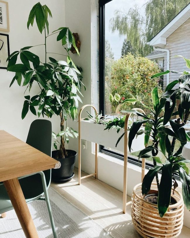 Container Garden Year-Round Harvests