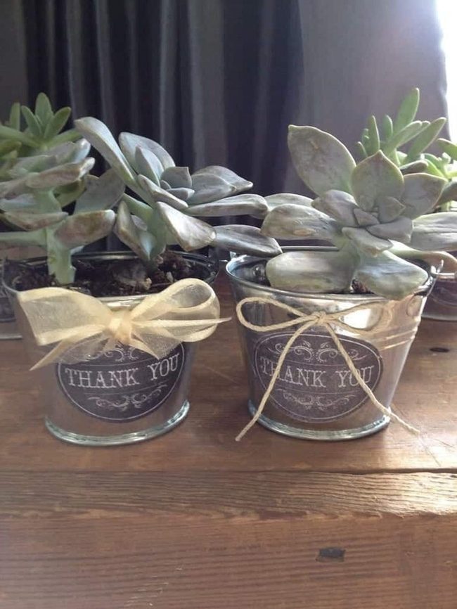 Succulent Favors In Galvanized Metal